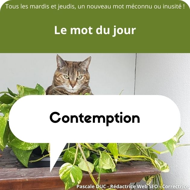 Contemption - Pascale DUC - Rédactrice Web