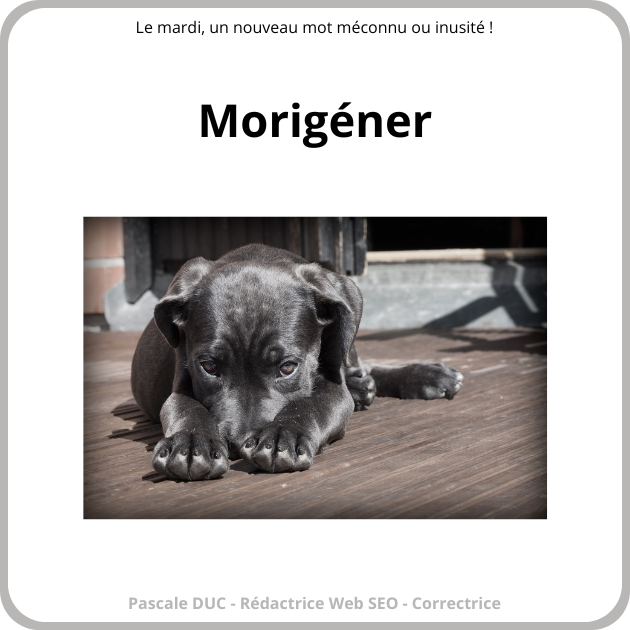 morigéner