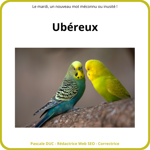 ubéreux